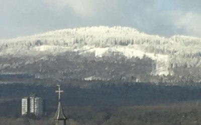 Klimawandel in Kronberg