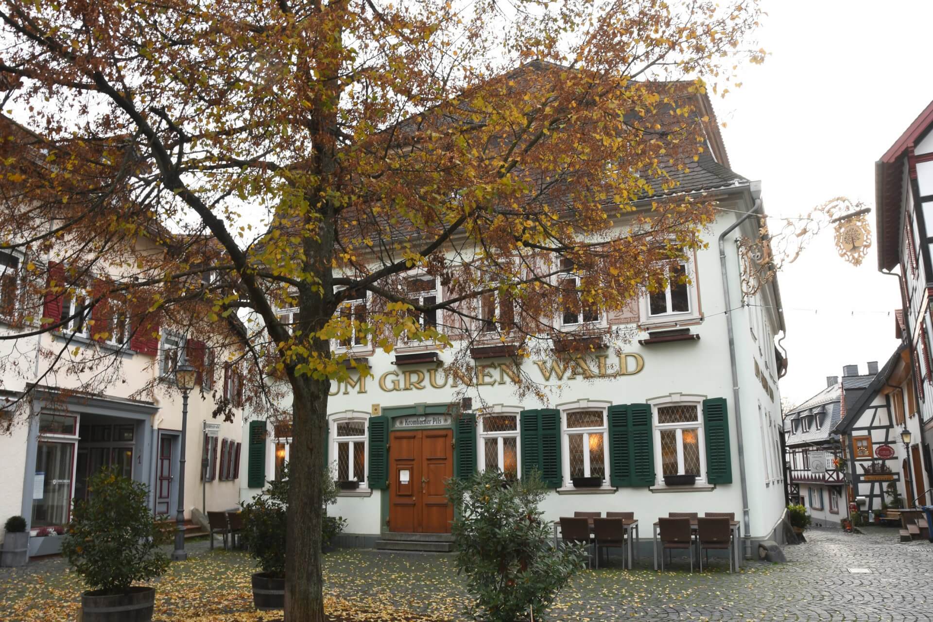 Aktives Kronberg - Gruener Wald